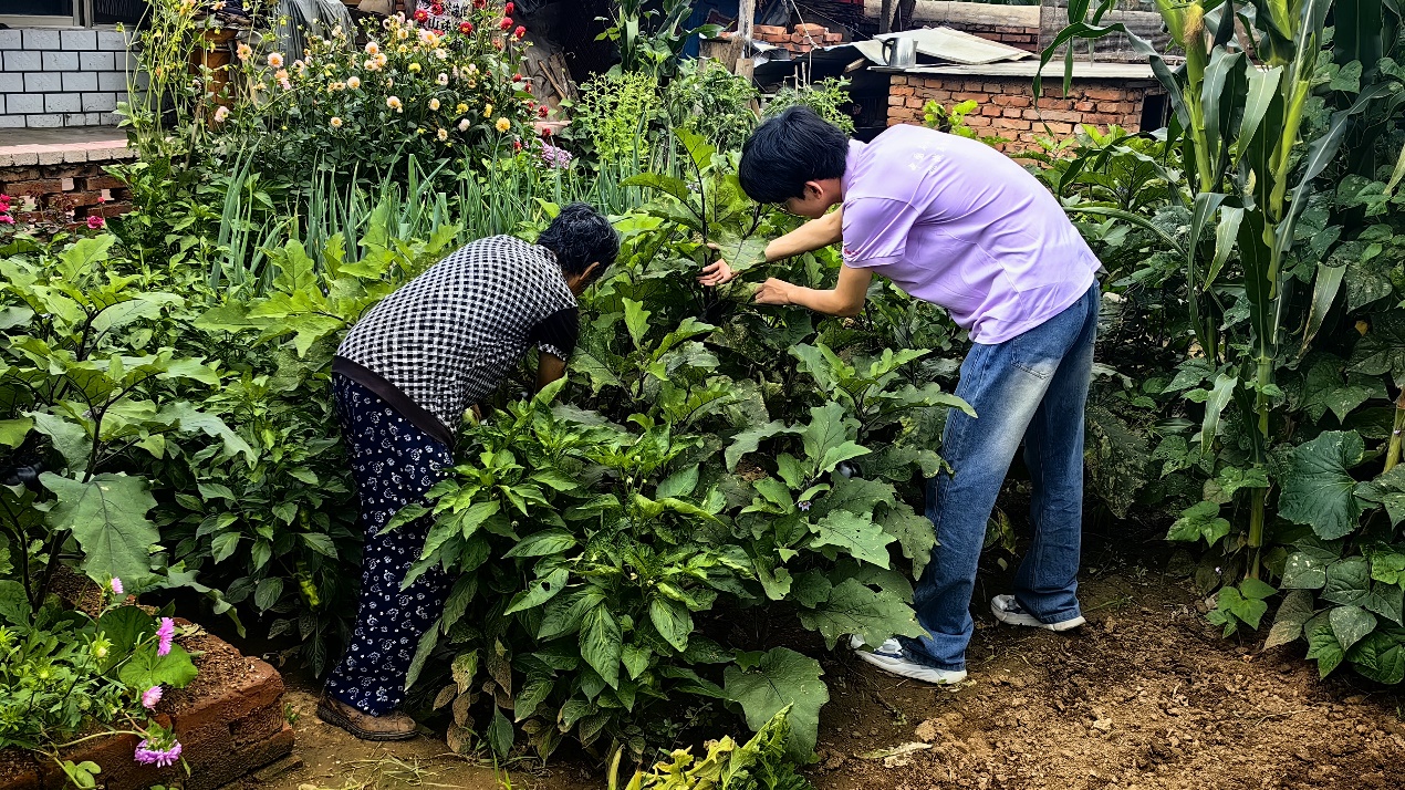 新时代青年的人民情结:走近中国石油大学(北京)“青行社区展风采 同心协力强基层”暑期社会实践团